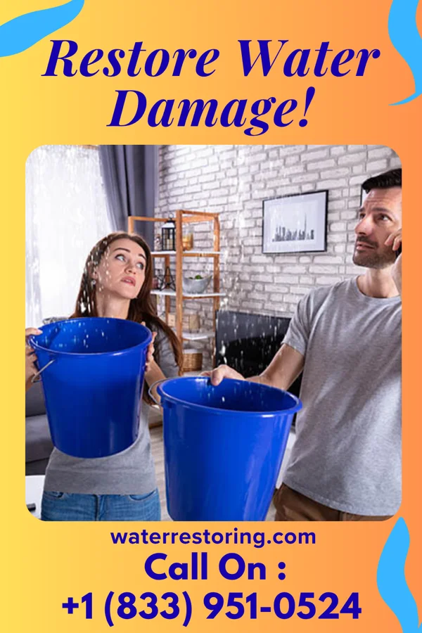 water restoration Horizon Flood Mitigation LLC Huron