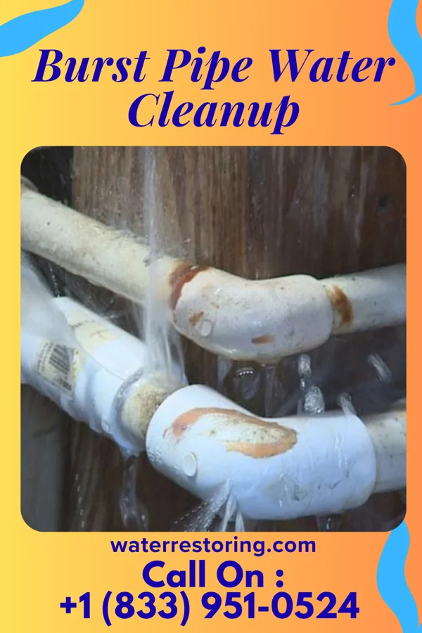 Burst Pipe Water Cleanup in Huron, OH